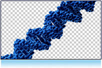 Computer Generated model of DNA on transparent background
